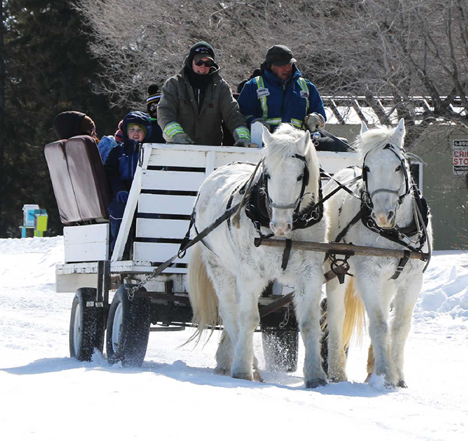 Sleigh ride in last year�s Winter Wonderland. Each year the park board hosts different events at the lake so that people can enjoy the park in the winter.